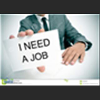 Looking for a job